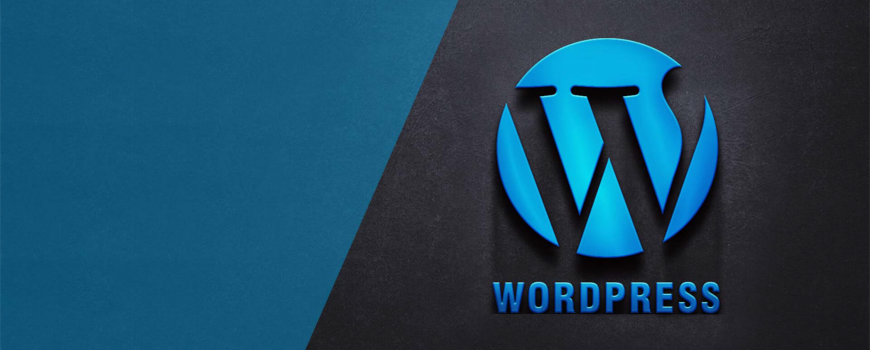 WordPress custom module development service